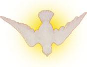 A Dove